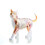 Animal Organ Anatomy Model 4D Cat Intelligence Assembling Toy Teaching DIY Appliances 7