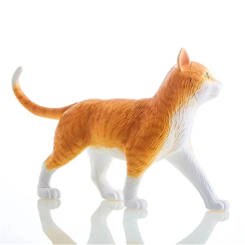 Animal Organ Anatomy Model 4D Cat Intelligence Assembling Toy Teaching DIY Appliances 2