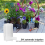 1set Automatic Irrigation DIY Kit Watering System Capacitive Soil Moisture Sensor and Water Pump for Garden 7