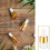 100Pcs Mini Glass Dropper Bottle Bulk Clear Essential Oil Bottles Small Dropping Sample Containers 1 Ml 6
