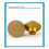 2PCS 45 M10 Brazed Flat Grinding Head Abrasive Polishing Stone Marble Quartz Cobblestone Grind 1