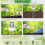 Soil Moisture Meter, Digital Plant Meter for Temperature/Soil Moisture/PH Test 3
