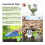 Soil Moisture Meter, Digital Plant Meter for Temperature/Soil Moisture/PH Test 6