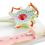 Neuronal Model Neuron Anatomy for Teaching Science Education Biomedical Instrument 3309 Cell 6