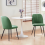 AINPECCA (Grass Green, 2PCS) 2/4PCS Dining Chairs Padded Seat Velvet Breakfast 6