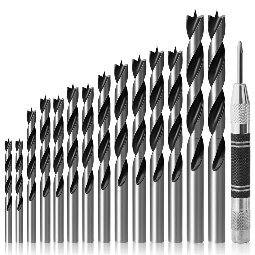 14Pcs Wood Drill Bit Set With Center Punch, Double Flutes Design For Carpenter Woodworking And All Types Of 4853128040528