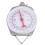 100Kg 220Lbs Hanging Scale Capacity Alloy Mechanical Scales with 2 Hook 4