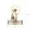 Low Temperature Stirling Engine Assembled Electricity Generator Heat Experiment Physical Model 2