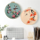 3 Sets DIY Embroidery Kit for Beginners Adults, Includes Holiday Cat, Hoop, Color Threads, Tools 6