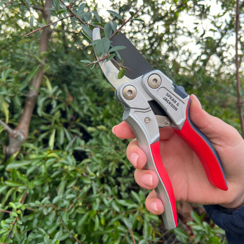 Spear & Jackson Spear & Jackson 7759BS Razorsharp Compound Action Bypass Secateurs 1