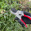 Spear & Jackson Spear & Jackson 7759BS Razorsharp Compound Action Bypass Secateurs 4