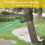 Tree Strap with Grommet Strong Load Bearing Good Support Effectively Fixed Newly Planted Branch Belt Garden Tool 9