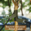 Tree Strap with Grommet Strong Load Bearing Good Support Effectively Fixed Newly Planted Branch Belt Garden Tool 8
