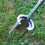 Garden Transplanter Tool Versatile Seedling Bulb Planter, Handheld Soil Sampler Planting, Fruit Trees Lawn Care 6