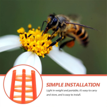 Bee Queen Cap Comb Push-in Cell Protectors Beekeeping Queen-Bee Rearing Cage for Supplies