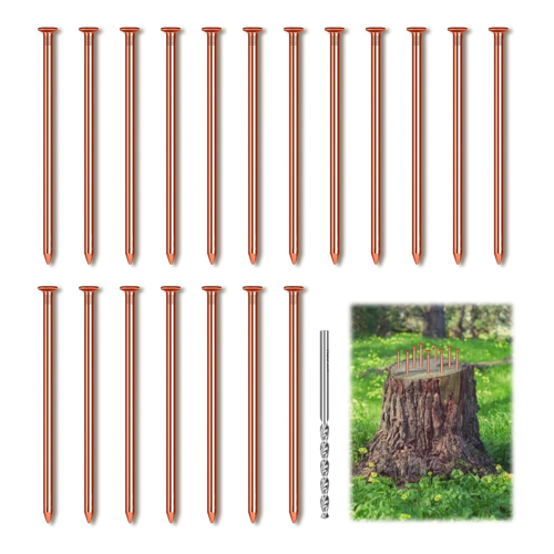 25Pcs Copper Nails, 3.14 Inch Long Pure Nails Bulk with Drill Bit, Remove Stake Hardware for Trees 2
