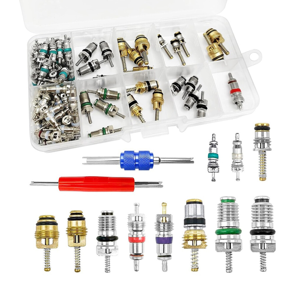 102Pcs Air Conditioning Valve Core Cores A/C R12 R134a Accessories Kit, Stem Repair Tool Assortment 4853961815390