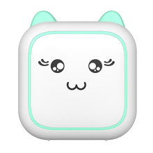Mini Printer Thermal Adhesive Labels Sticker Bluetooth Pocket Label Notes for Home and Office