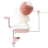 Yarn Ball Winder Manual Effortless Spinner Portable Roller for Crocheting Knitting Tool 2