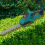 Trimmer Handheld Hedge 2 Blade Garden Bush Shears for No Battery B 7