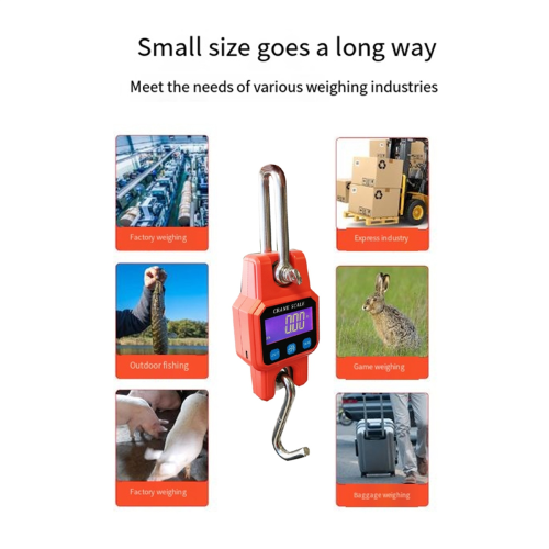 C06B 300kg/50g Portable Electronic Hook Scale Charging with Bluetooth Mini Lifting for Household Use 2