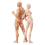Drawing Figures for Artists, Action Figure Model Jointed Small Model, Stop Motion Sketching A 1