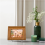 Plate Stand for Display, Clear Acrylic Square Holder Tabletop Picture Frame Easel Book, 1Pack 6
