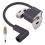 Ignition Coil with Spark Plug Kit Replacement for 799582 798534 593872 595009 596532 5