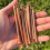 12Pack Copper Nails for Killing Trees Stump Root 4inch, Nails, Removal Spikes Hardware 6