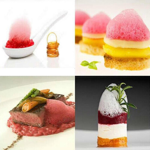 Gourmet Foam Machine Chef Cooking Tool for Cocktail Meat 1