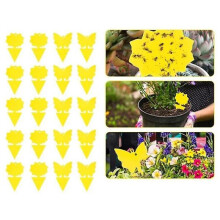20pcs sticky traps, Sticky fruit fly and planting mosquito bug
