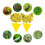 20pcs sticky traps, Sticky fruit fly and planting mosquito bug 2