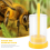 Plastic Queen Bee Marking Cage W/ Plunger Beekeeping Equipment for Capture Without Hurting It 5
