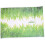 DIY Green Grass Wall Sticker Removable Decor Waterproof Bedroom Mural Decal 2