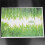 DIY Green Grass Wall Sticker Removable Decor Waterproof Bedroom Mural Decal 6
