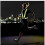 (Green, Green) Reflective vest with Reflector - Practical & Durable 4
