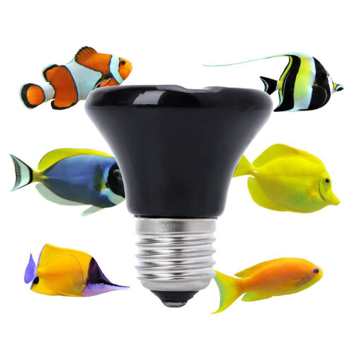 Hot 25W E27 Pet Heating Lamp Black Infrared Ceramic Emitter Heat Light Bulb Brooder Reptile 220-230V 2