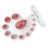 4D Human Embryo Development Anatomical Model Fetal Growth Organ Teaching Alpinia Assembled Toys 3