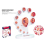 4D Human Embryo Development Anatomical Model Fetal Growth Organ Teaching Alpinia Assembled Toys 4