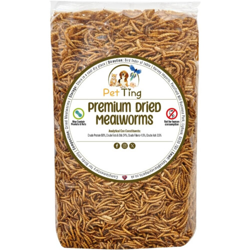 Premium Dried Mealworms, 5L Bag