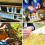 50 PCS Queen Bee Roller Cage - Plastic Beekeeping Cup Kit Back Holder Tools 8
