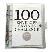 Money-Saving Challenge Kit, 100 Envelope Binder for Saving 5050 Cash Envelopes Budget Planning