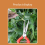 Garden Pruning Shears Potted Branches Scissors Fruit Picking Small Household Hand Tools 5