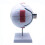 6X Enlarged Human Eye Anatomical Model,Anatomically Accurate Model Anatomy for Science Classroom Study 6