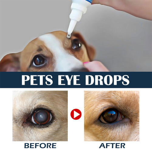 Dog Eye Drops For Dry Eyes 15% Advanced Lanosterol Eye Solution 1