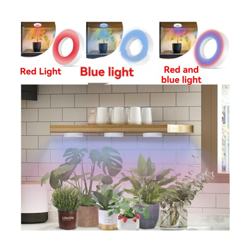 Full Spectrum LED Grow Light Red and Blue Light 3 Pcs 1