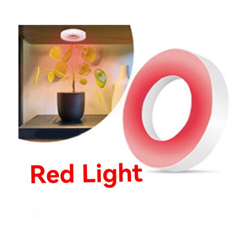 Full Spectrum LED Grow Light Red and Blue Light 3 Pcs 2