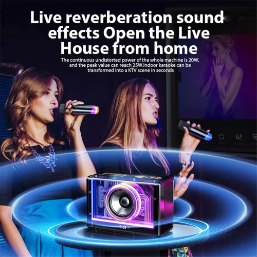 Macchina Karaoke Bluetooth per adulti e bambini con microfoni wireless 2