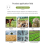 Electric Fence Controller Pulse Pig Cattle Sheep Farming Complete High Voltage Electronic System EU Plug 6