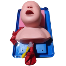 Trachealintubationsmodell für Säuglinge, Nasenmodellsimulator, Lehrmittelkit für das Atemwegsmanagement